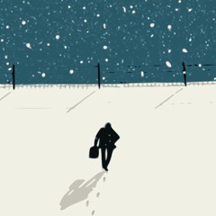 Between the Snowflakes