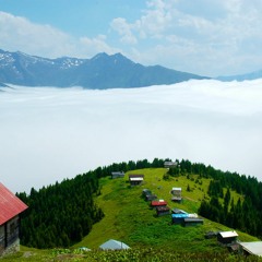Kazım Koyuncu -Narino(Herhangi/Touch)