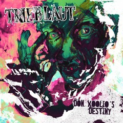 Stunk! ("Don Xoolio's Destiny" LP / CD) + digital album 2014