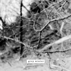 grey winter