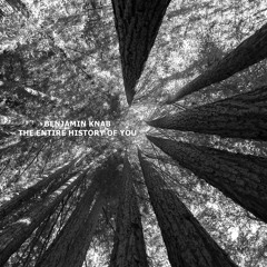 Benjamin Knab - The Entire History Of You