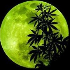 DECRETO #420 . Divari Pashuli Ft. Mario Tanaka