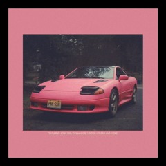 (CHORUS ONLY) SHE'S SO NICE - PINK GUY