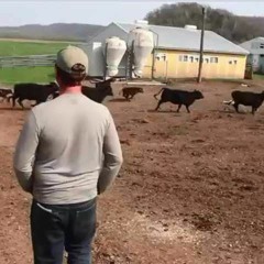 Farming and Agriculture in Lanesboro, Minnesota