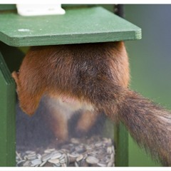 Kort Tåg - Holk in progress