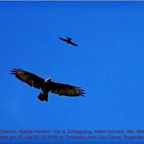 Der Bussard