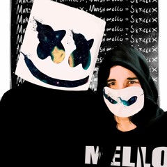 Marshmello & Skrillex - With Me