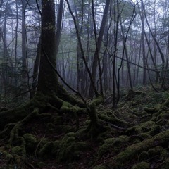 Oxygen - Original song