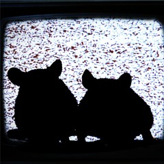 Viejos Rata Cap 13 Tutorial con Review "Juegos Clasicos para que salgan a jugar a la calle"