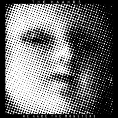 I Aam Perfection - The Haänds