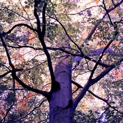 Somebody Else/No Need To Argue - The 1975 & The Cranberries Mashup Cover