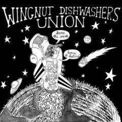 Wingnut Dishwasher's Union - My Idea Of Fun
