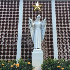 sunny shit  : trip-n-fuck