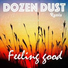 Danny Darko ft. Echoes - Feeling Good (Dozendust Remix)