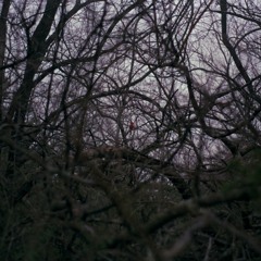 02 - Things Could Turn Out Alright