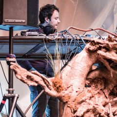Eli Burmin @ Fractalfest 2016