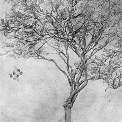 Sketch Tree Patch 21