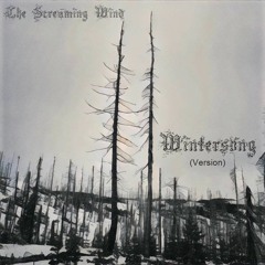 Wintersong (Version)
