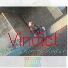 Vindict-Intro to Vindict