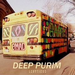 Deep Purim (Original Mix) - LEVYTICUS