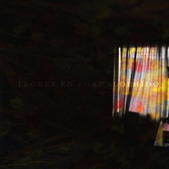 Flores En Formaldehido