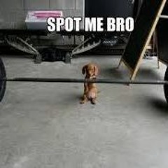 Workout Mixx #32 Rock/Pop (135 bpm)