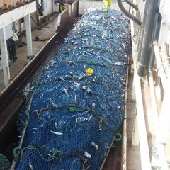 PROGRESSIVE PSYTRANCE DJ ELSIE BROGAN  DEC 2016