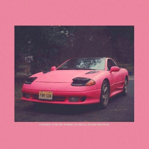 PINK GUY - She's so nice ( chorus loop edit )