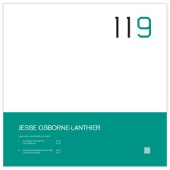 jesse osborne-lanthier »lick and a promise« taken from »unalloyed, unlicensed, all night!«