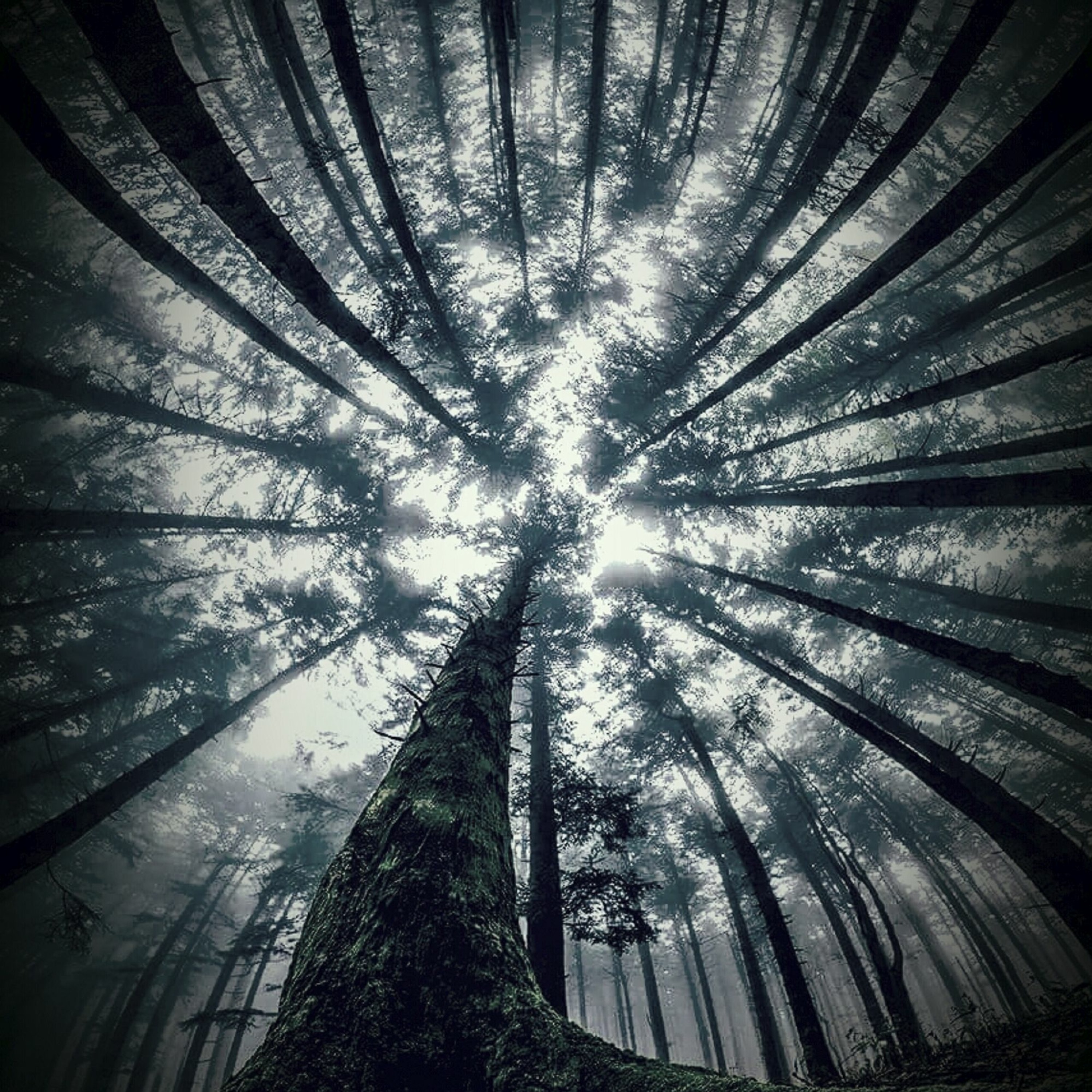 Fading episode artwork