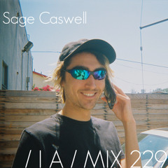 IA MIX 229 Sage Caswell