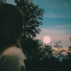 idyll  //  SMR Instrumental