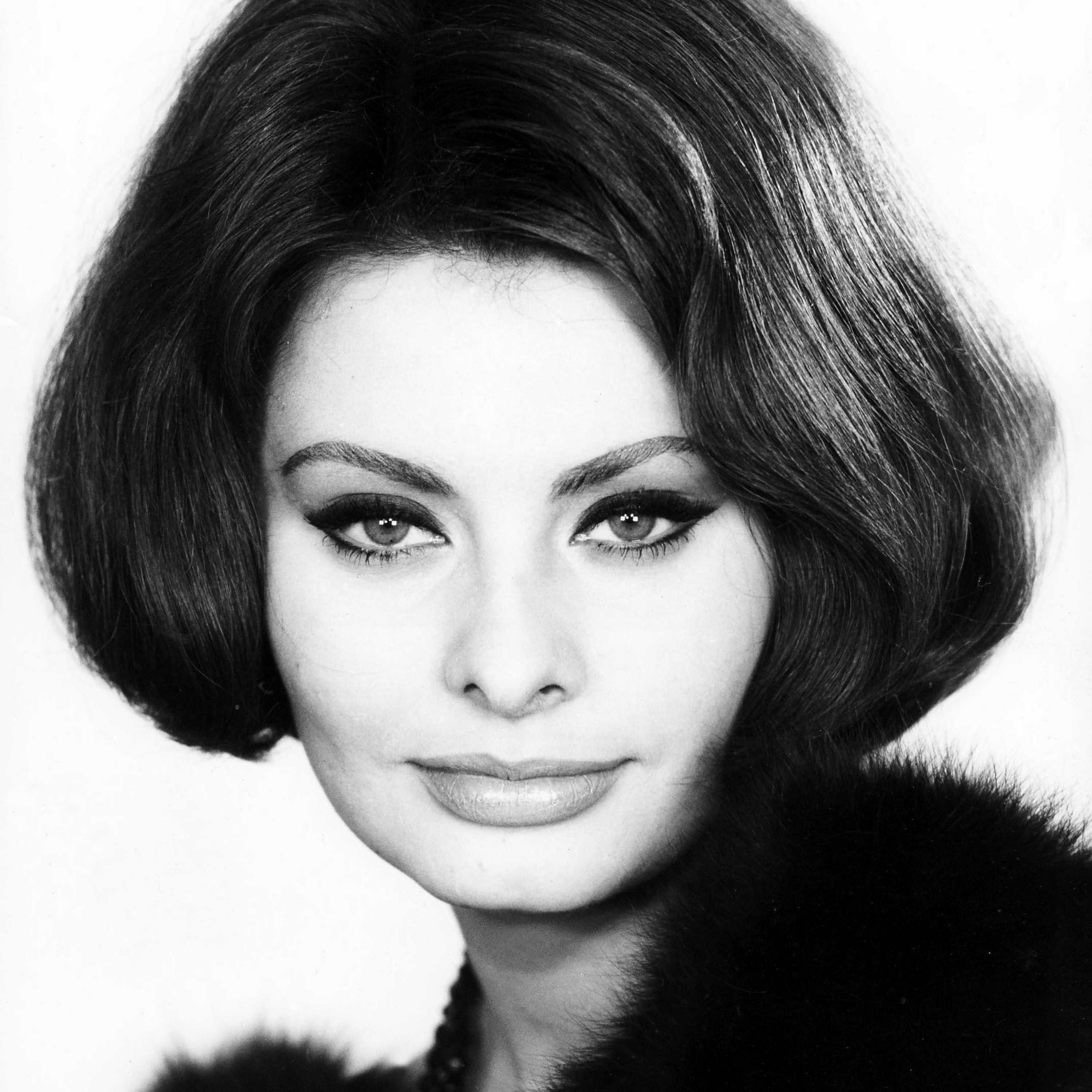 Sophia Loren episode artwork
