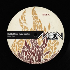 MS033 - Radikal Guru ft Jay Spaker - Build Fire + Build Dub + Bukkha Remix [vinyl out 27 Jan 2017]