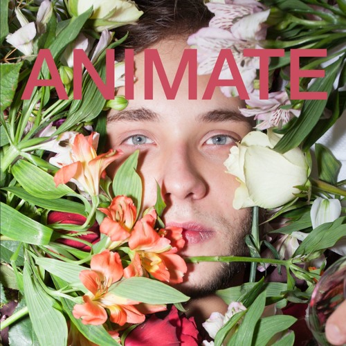 The Chairman - Animate