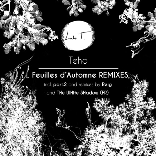 PREMIERE: Teho - Feuilles D'automne (Reig Remix) [Labo T.]