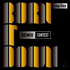 LNY TNZ - Burn It Down (Crzy Remix)