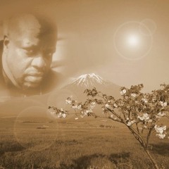 Decibles of Determination -Written, produced,  and performed by Thoughts of a Single Man