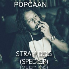 Popcaan - Stray Dog (Sped Up)