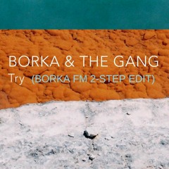 Borka & The Gang - Try (BORKA FM 2 - STEP EDIT)FREE!