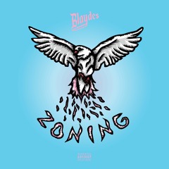 Blaydes - Zoning
