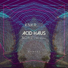 NoriZ - Acid Haus (IBX Remix) Preview