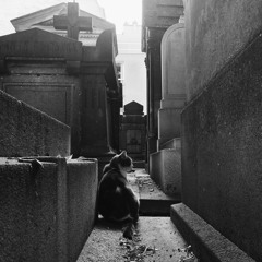 Wedding Day Mausoleum Party