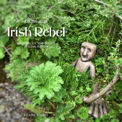 Irish Rebel (Hörprobe)