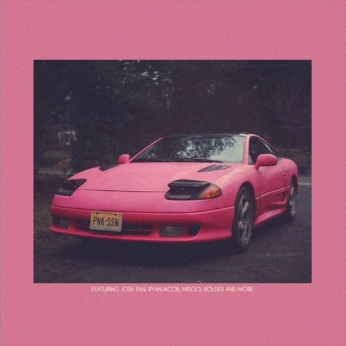 PINK GUY — SHE'S SO NICE (edit)