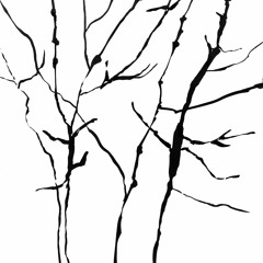 Twigs ( by barry sudocrem)