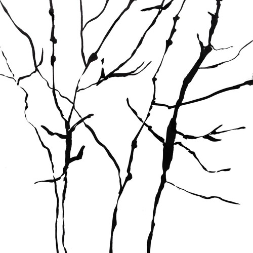 Twigs ( by barry sudocrem)