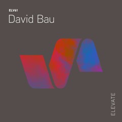 David Bau - Shining