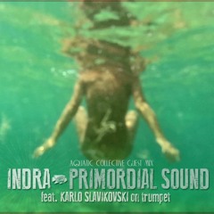 "Primordial Sound" [Aquatic Collective Guest Mix] - by Indra feat. Karlo Slavikovski on trumpet