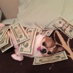 PLAYLI$T PESADONA (Edição FODA PRA CARALHO)